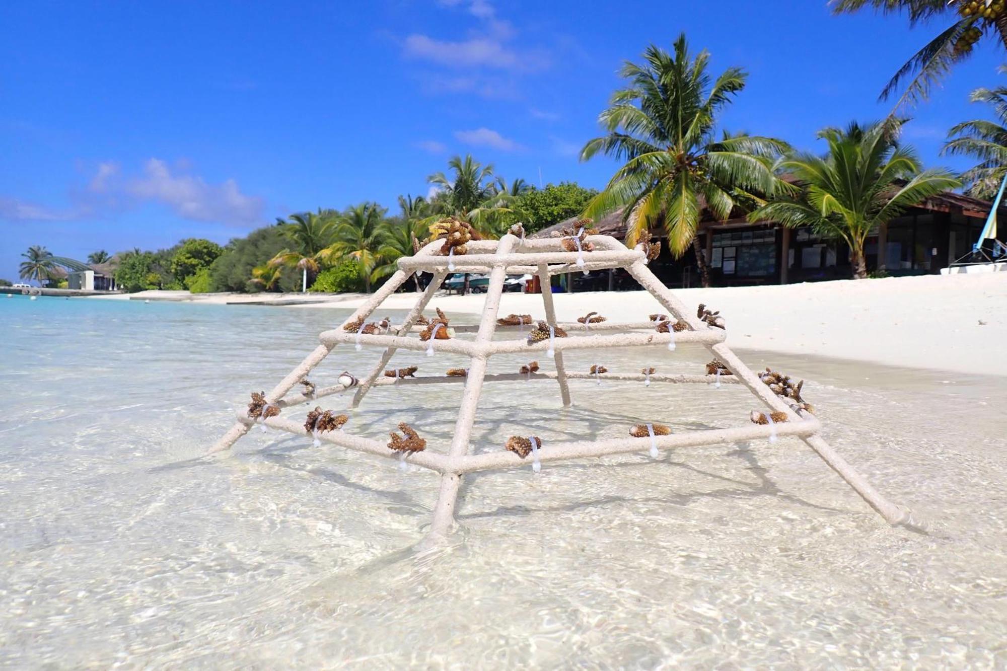 Sheraton Maldives Full Moon & Resort